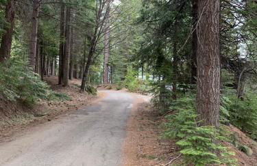 ManVee at Yosemite - Foto 53