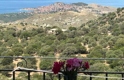 Petrino view at vafios - Foto 12