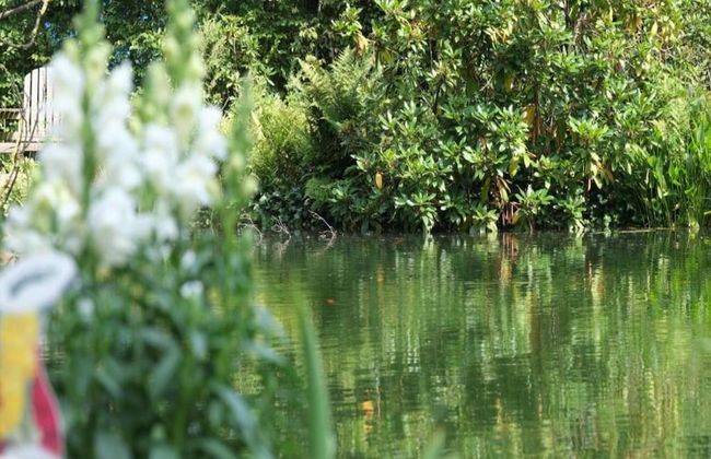House on Water, Surrounded by Nature - Photo 30