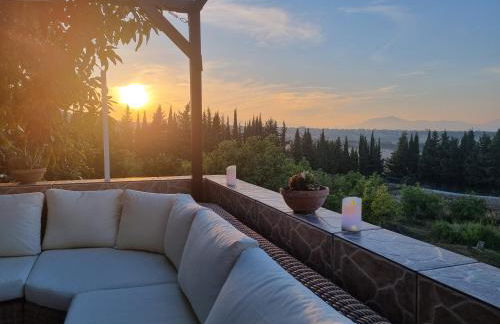 Finca Vista El Montanes - Photo 13