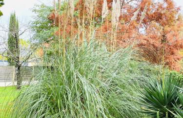 Domaine de la Ronce - Foto 34