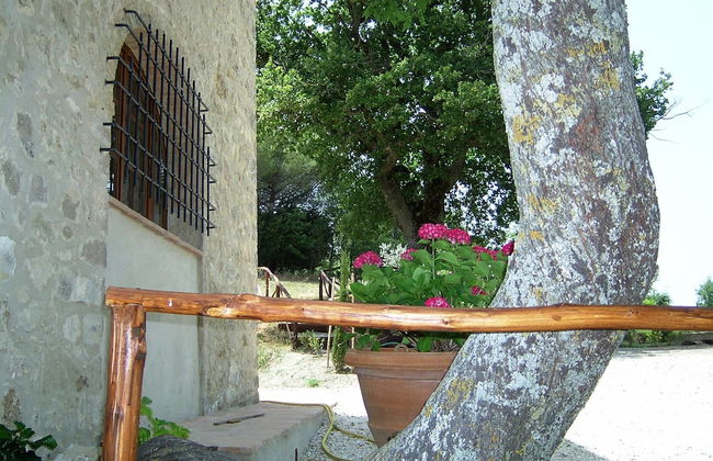 Bellavista farm of Quercini Maurizio - Foto 19