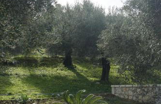 Gelbes Haus Korfu - Photo 43