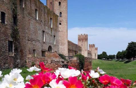 The Relax Apartment - Photo 3