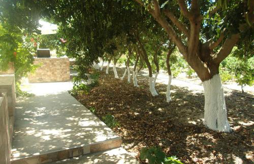 Mantelena studios & family apartments - Foto 34