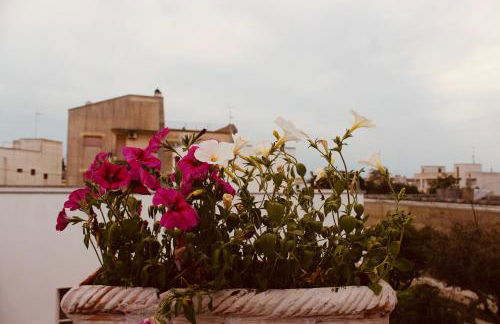 Maison Luigi - Casa Vacanze1 - Foto 11