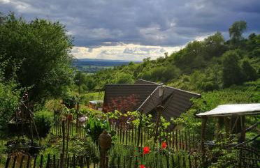 Direkt am Wald mit Panoramablick bis zur Pfalz - Foto 21