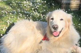 Borgo Dolciano - Foto 27