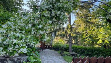 Casa Lastri - Foto 2, Garden, Garden view