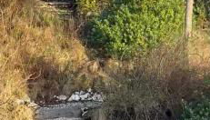 Church Bay House - Foto 4