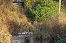 Church Bay House - Foto 4