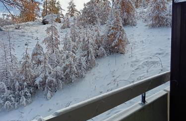 STUDIO le FOREST SKIS AUX PIEDS - Foto 1