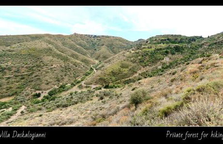 Villa Daskalogianni - Foto 63