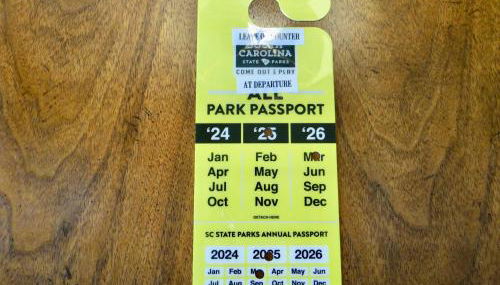 215 C2 GP-The Treehouse - Foto 3