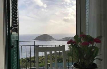 Il Fico “Villa Nunzia” - Foto 9