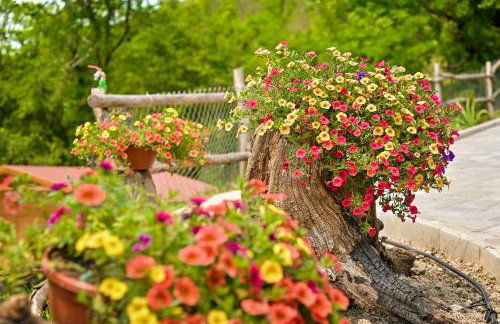 Villa Brbon - Serene Getaway - Foto 78