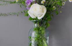 Luxury house in The New Forest - Foto 33