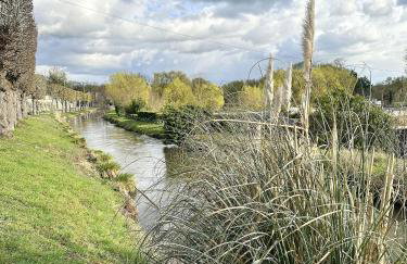 Maison familiale : charme & nature - Foto 41