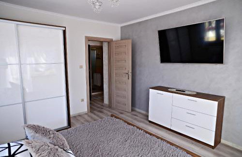 Apartament z tarasem i pokoje KLIMATYZOWANE -Drozdówka Solina - Foto 31