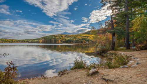 The Bear's Den - Foto 4