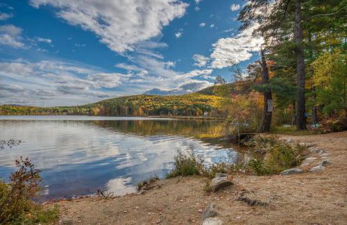 The Bear's Den - Foto 4