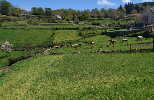 Pé na Aldeia - Foto 36