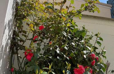 En bord de mer - Foto 12