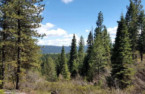 Off-The-Grid Cottage Rental with 360-Degree Mountain Views near Cascade, Idaho - Foto 20