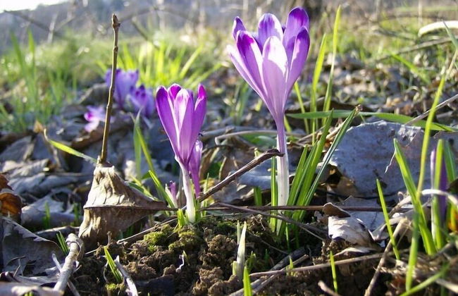 Agriturismo Al Vecchio Portico - Photo 51
