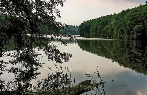 Ostoja Szmana - Foto 44