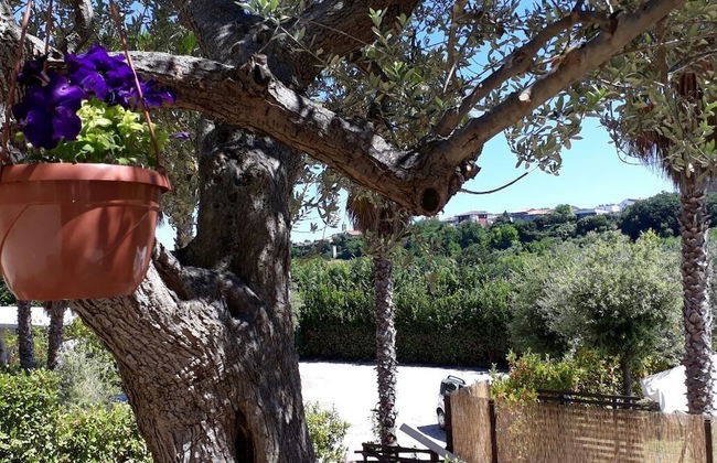 Agave Resort - Foto 26