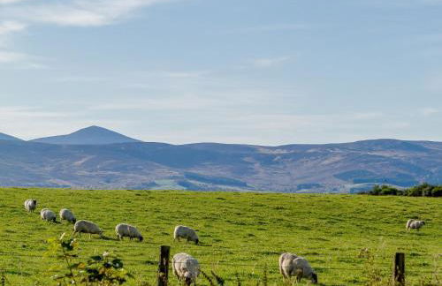 3 Bed in Dinnet 53150 - Foto 24