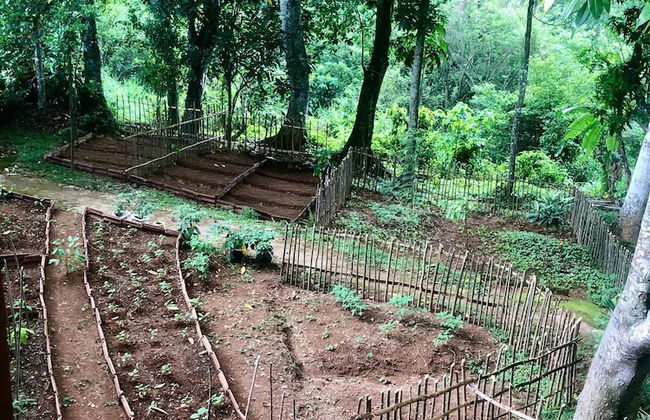 Captain's Bungalow - Foto 51