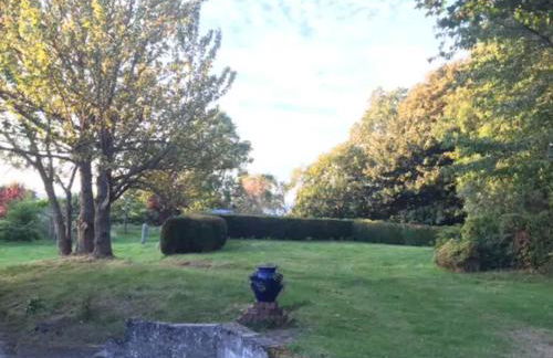 Home Comforts in Peaceful 2 Acres - Photo 77