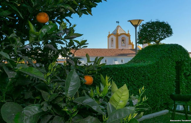 C12 - Sunshine Luz House by Dreamalgarve - Photo 13