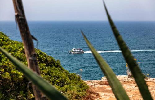 Casa Piranhas - Foto 22