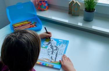 Ferienhaus Sandhöcht - Photo 10