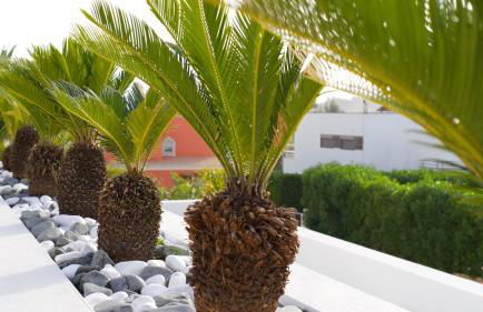 Luxury Villa Aleana - Foto 53