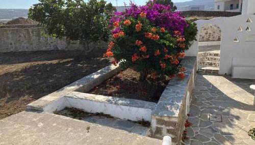 Lina's House - Foto 1, Garden, Garden view
