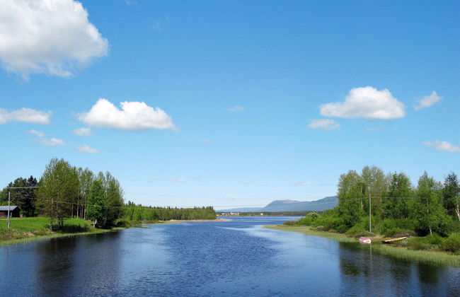 Kvisthån Idegranen - Photo 18