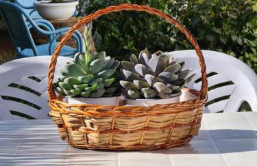 Villa Arbocers - Foto 20