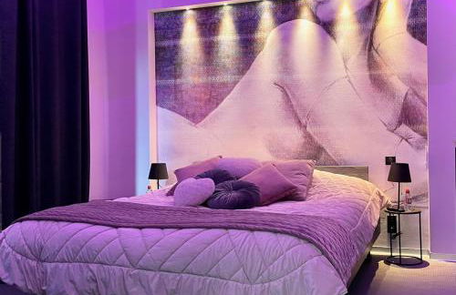 Domaine de l'Angélique - Loft avec SPA privatif - Marais poitevin entre Niort et La Rochelle - Foto 5