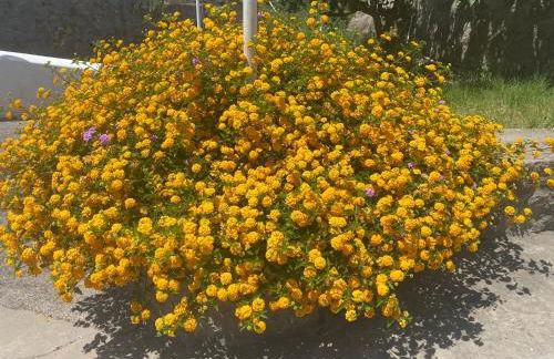 villa martina suite apartament - Foto 27