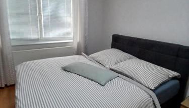 Ferienwohnung Röddenau - Foto 1