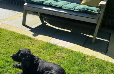 Converted Welsh Sunday School with Sea View & Garden on Anglesey - Dog Friendly - Photo 66