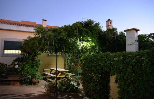 A Tintureira - Photo 24