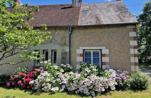 Gite proche de Beauval Zoo et des Chateaux - Foto 14