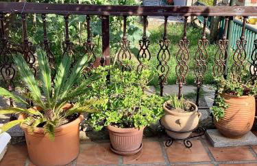 Ático con terraza - Foto 35