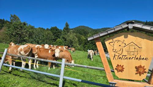 Klettnerlehen - Foto 2