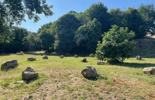 Agriturismo Affaccio su Orvieto - Foto 51